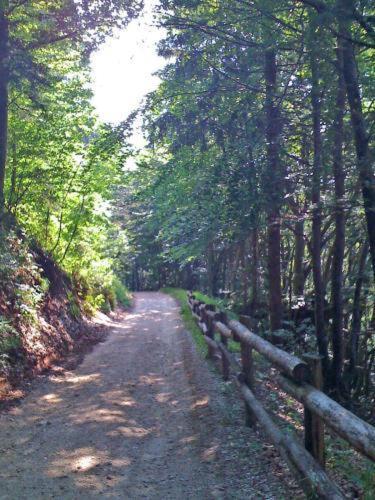 Hotel Fior Di Bosco Giovo Dış mekan fotoğraf